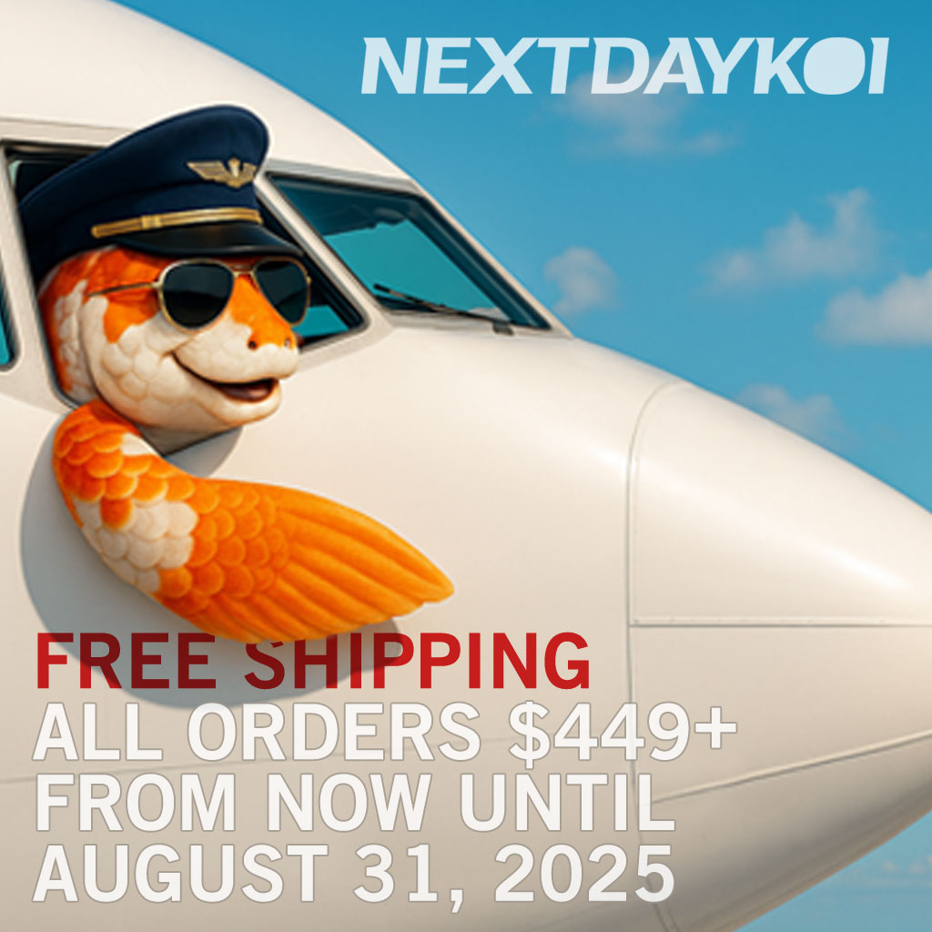 Free Shipping $449+ August 2025