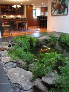 NDK IndoorPond