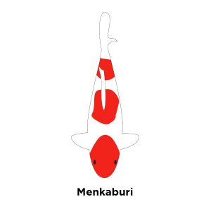 Menkaburi Kohaku