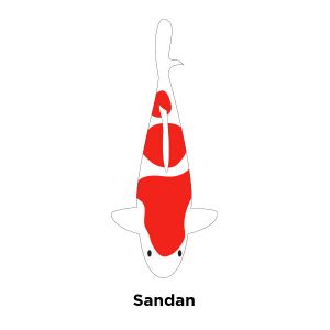 Sandan three- step Kohaku