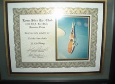 Framed Koi Show Award certificate