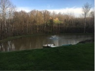 large one acre pond looking for koi to fill
