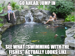 Koi meme 10 kids in a koi pond