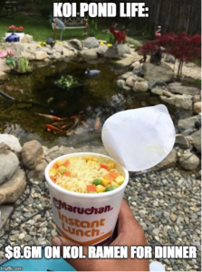 koi meme 12 koi pond ramen