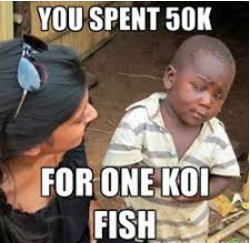 koi meme 13 big koi spend