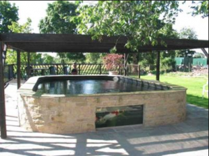 Lattice shade over a raised koi pond