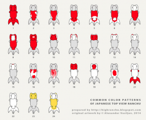 Ranchu Goldfish color patterns