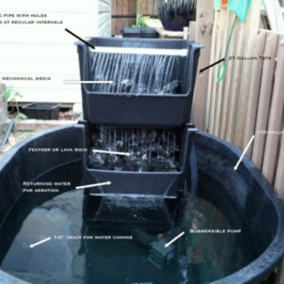 Home made quarantine tank for koi fish