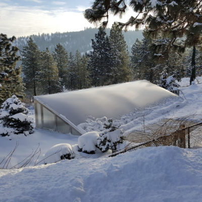 Koi pond in the winter under a cover